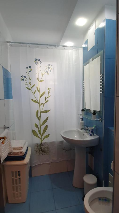 באיה מארה Apartament Cosbuc מראה חיצוני תמונה