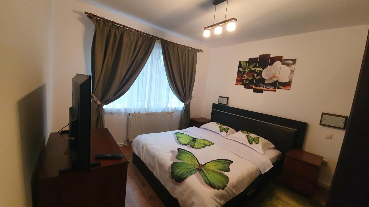 באיה מארה Apartament Cosbuc מראה חיצוני תמונה